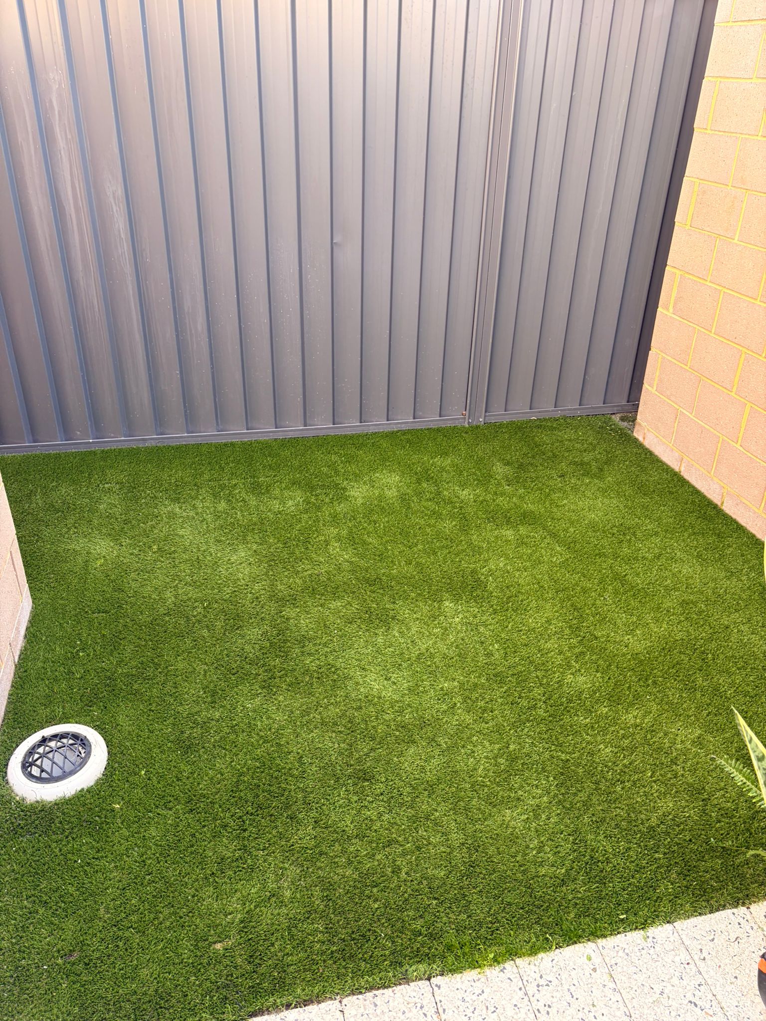The same Bertram corner lawn after the 4-stage clean, weeds cleared and the turf lifted to a bright uniform green